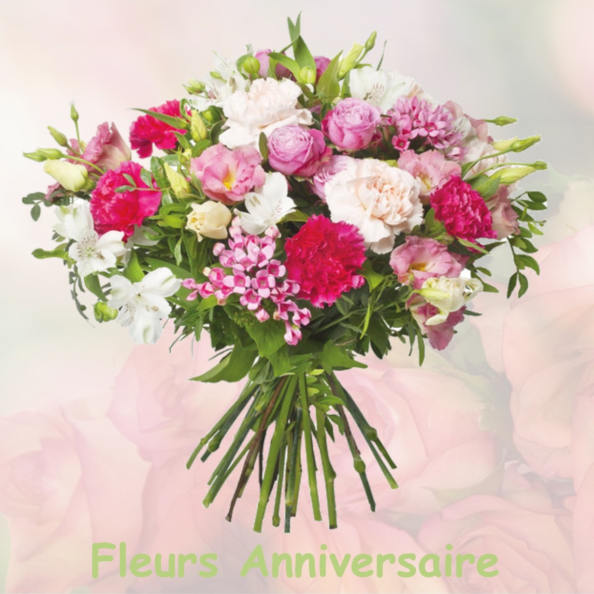 fleurs anniversaire MERU